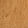 Ginger