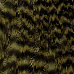 Collo di gallina Wapsi Grizzly