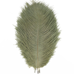 FFGene Piume hackle di struzzo