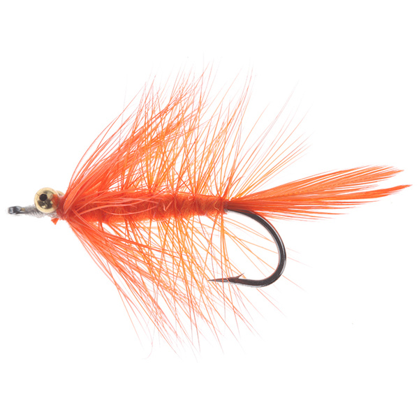 Arancione Magnus