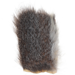 Pezzi del corpo dello scoiattolo Wapsi