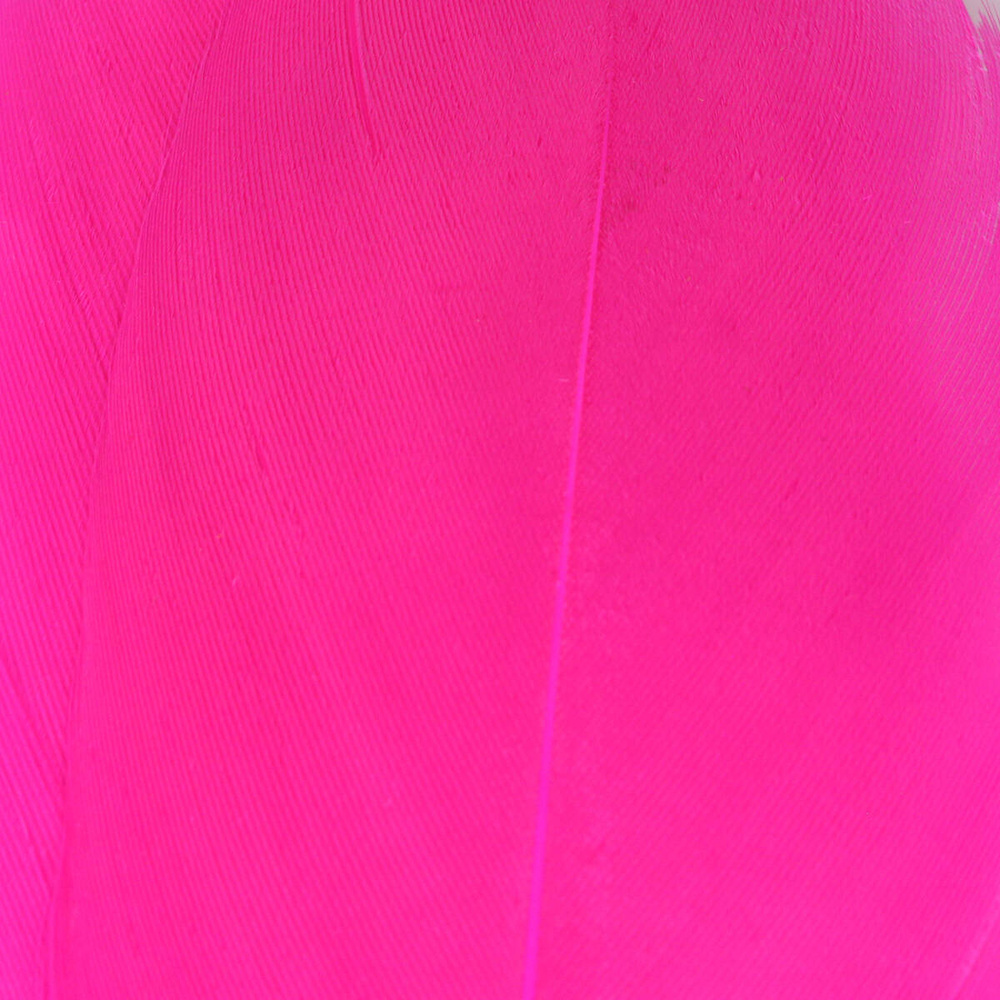 Cerise
