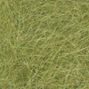 Chartreuse UVR