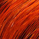 Hot Orange
