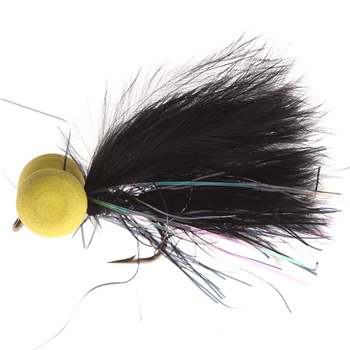 Folletto nero occhi gialli