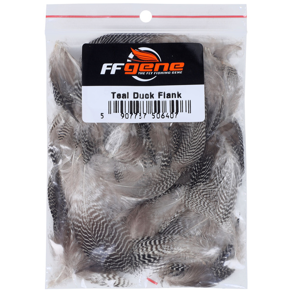 FFGene Fianco d'anatra alzavola