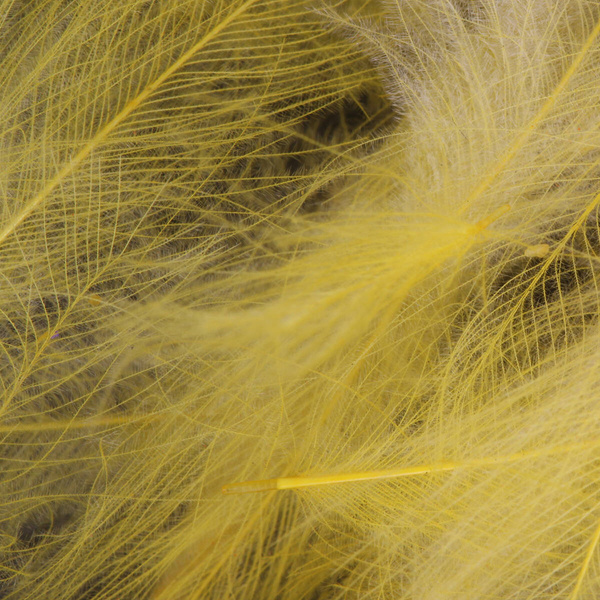 FFGene CDC Color Jambo, confezione di piume - 1 gr