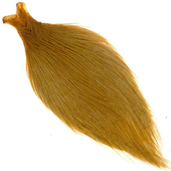 Mantelli interi Ewing