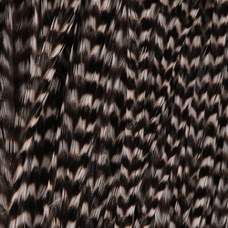 FFGene Howard Hackle Saddles #1