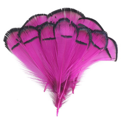 FFGene Piume tippet di fagiano di Lady Amherst