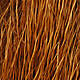 Golden Brown