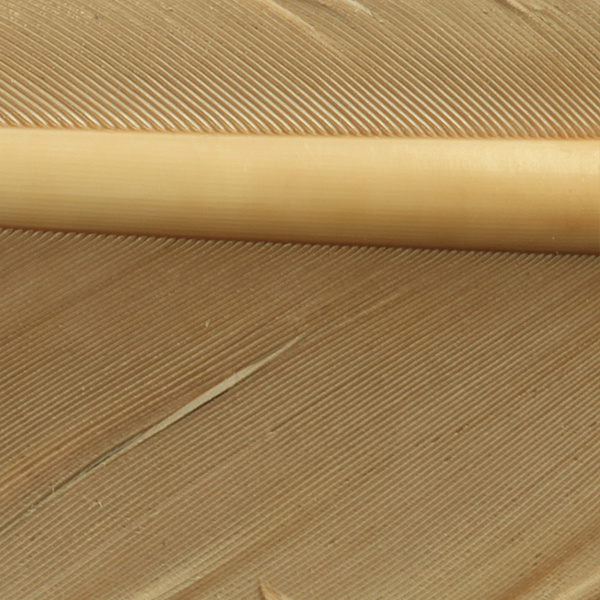 Hareline Biot di tacchino