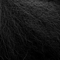 Hareline pelo di coda di volpe artica
