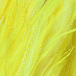 FFGene Hackle di sella di gallo in mazzo