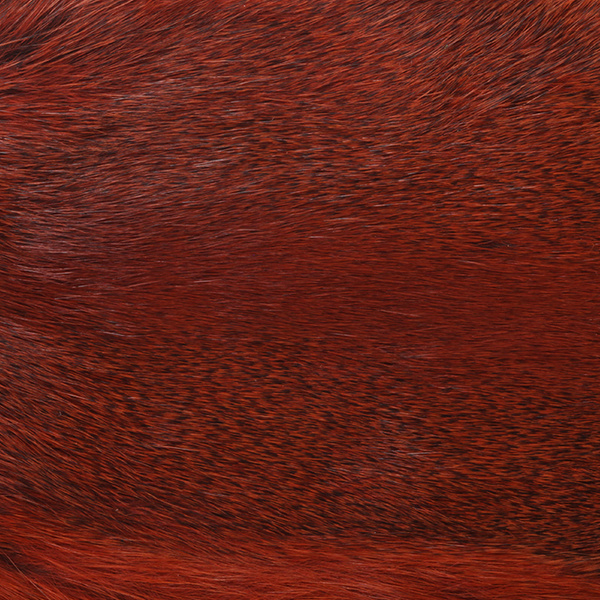 Wapsi Whole Pine Squirrel Skin