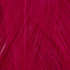 Crimson