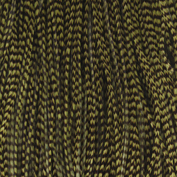 Sella di gallo Keough Hackle per mosche secche