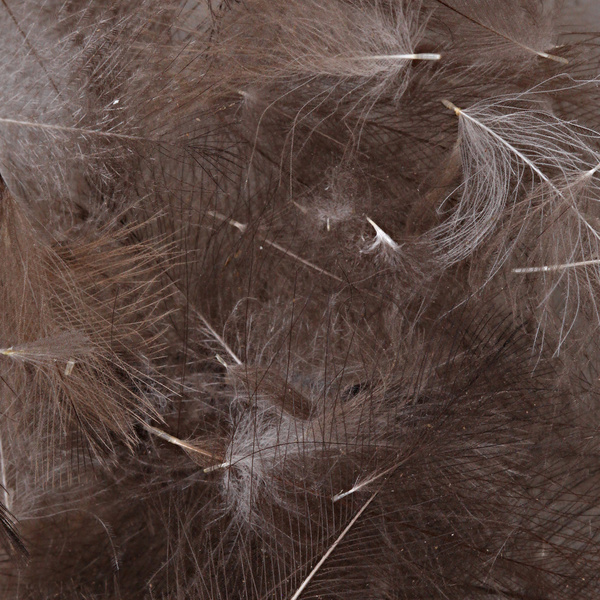 Hareline Piume cul de canard (CDC)
