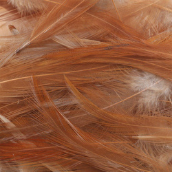 Wapsi Mini confezione di piume da hackle del collo di gallo