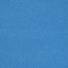 Damsel Blue