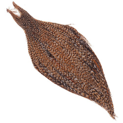 Collo di gallo FFGene Howard Hackle #3