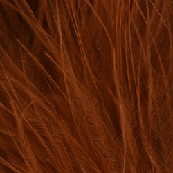 FFGene Wooly Bugger piume di marabù Blood Quill (7-10 cm)