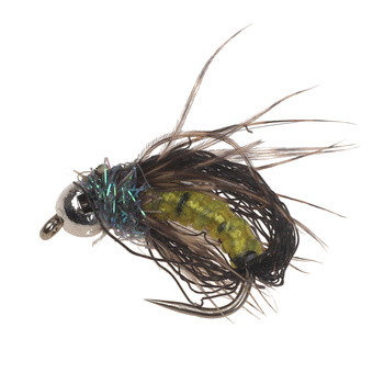 T.B Emerging Peacock Caddis