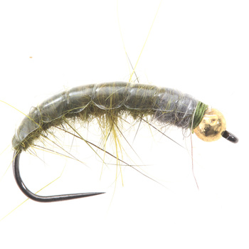 Tungsteno BH Polish Hydropsyhe Olive