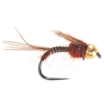 Micro ninfa di mosca marrone