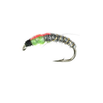 Idropsyche Oliva scura/Rosetto rosa (354)