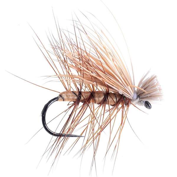 Alce Sedge Tan