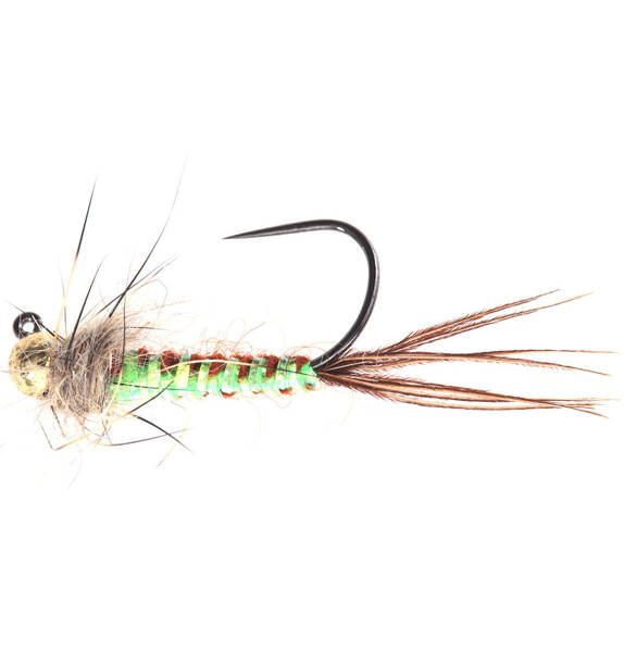 Jig marrone con dorso intrecciato Chartreuse