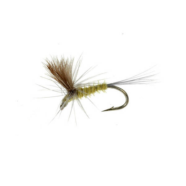 Paracadute CDC Quill Body Olive (430)