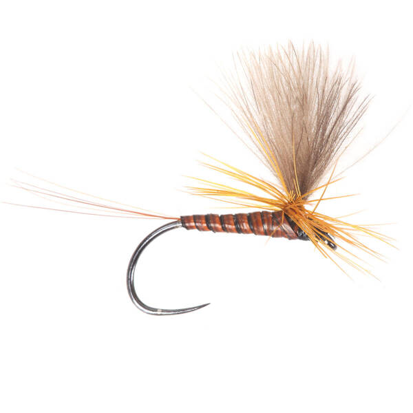 Paracadute CDC Red Quill