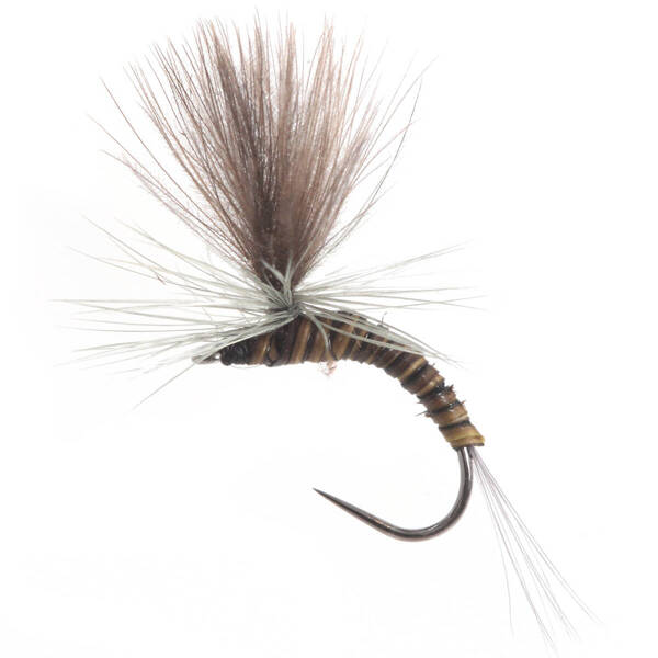 Paracadute Emerger CDC BWO