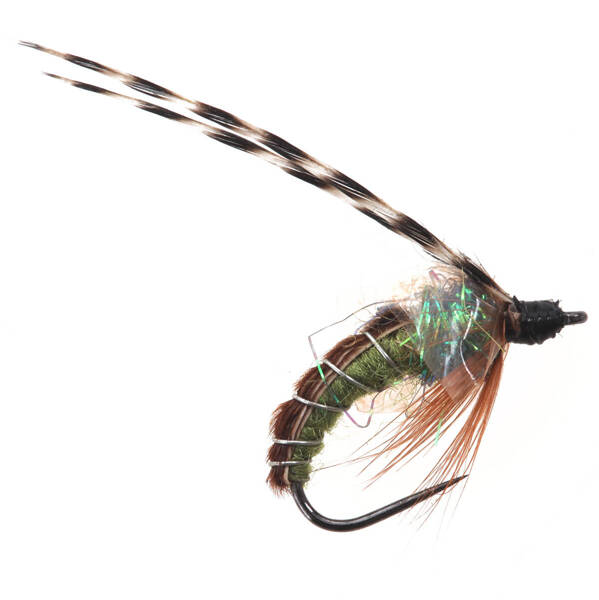 Sparkle Caddis Pupa Verde (1)