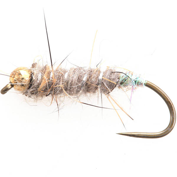 Tungsteno BH Caddis Case Nymph